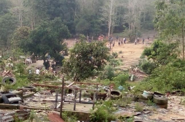 Penertiban di Rindu Malam 2, Ratusan Anak Babi Lari ke Hutan